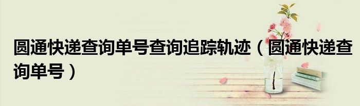 圆通快递查询单号查询追踪轨迹（圆通快递查询单号）