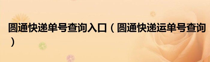 圆通快递单号查询入口（圆通快递运单号查询）
