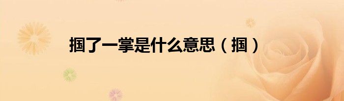 掴了一掌是什么意思（掴）