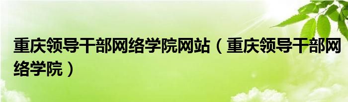 重庆领导干部网络学院网站（重庆领导干部网络学院）