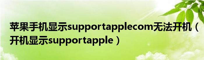 苹果手机显示supportapplecom无法开机（开机显示supportapple）