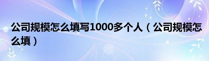 公司规模怎么填写1000多个人（公司规模怎么填）