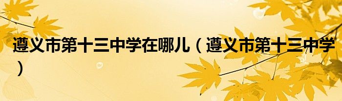 遵义市第十三中学在哪儿（遵义市第十三中学）