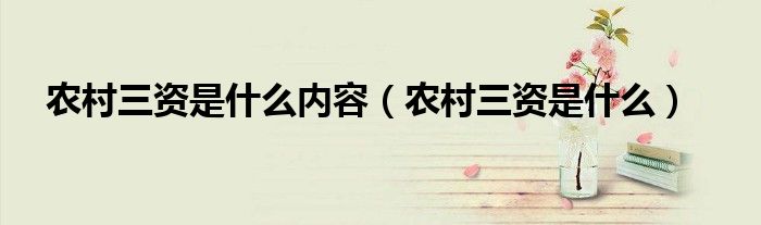 农村三资是什么内容（农村三资是什么）