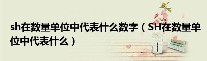 sh在数量单位中代表什么数字（SH在数量单位中代表什么）