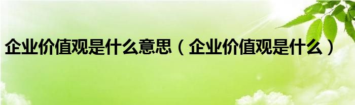 企业价值观是什么意思（企业价值观是什么）