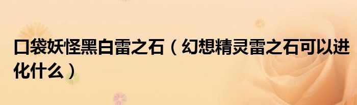 口袋妖怪黑白雷之石（幻想精灵雷之石可以进化什么）