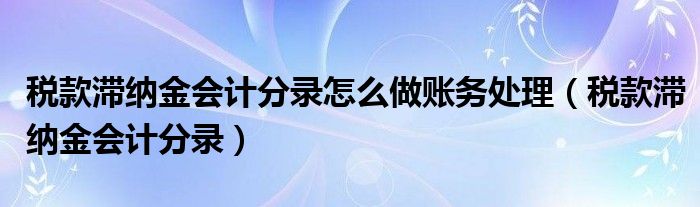 税款滞纳金会计分录怎么做账务处理（税款滞纳金会计分录）