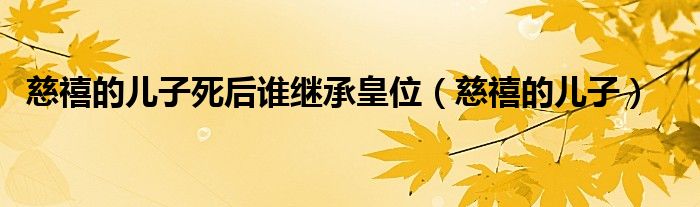 慈禧的儿子死后谁继承皇位（慈禧的儿子）