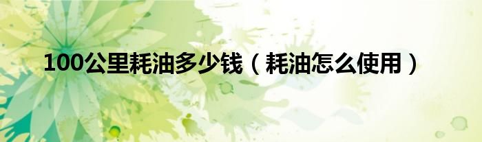 100公里耗油多少钱（耗油怎么使用）