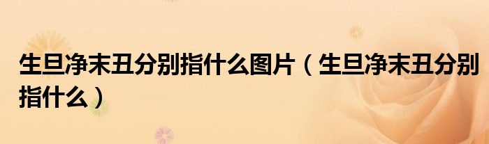 生旦净末丑分别指什么图片（生旦净末丑分别指什么）