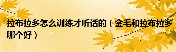 拉布拉多怎么训练才听话的（金毛和拉布拉多哪个好）