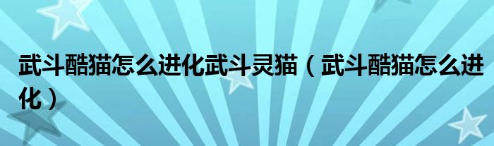 武斗酷猫怎么进化武斗灵猫（武斗酷猫怎么进化）