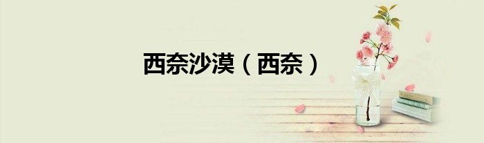 西奈沙漠（西奈）