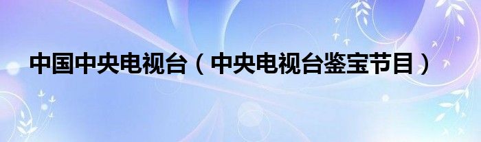 中国中央电视台（中央电视台鉴宝节目）