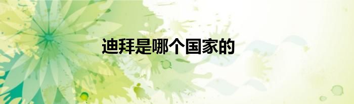 迪拜是哪个国家的
