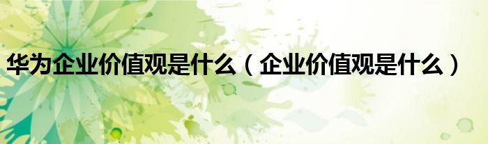 华为企业价值观是什么（企业价值观是什么）