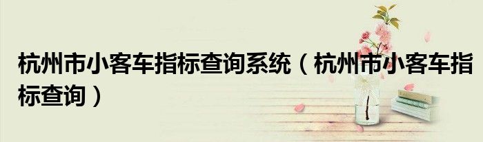 杭州市小客车指标查询系统（杭州市小客车指标查询）