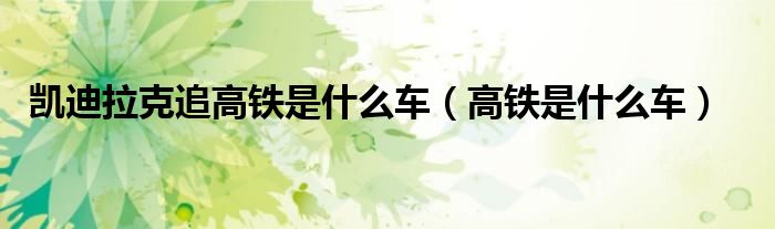 凯迪拉克追高铁是什么车（高铁是什么车）