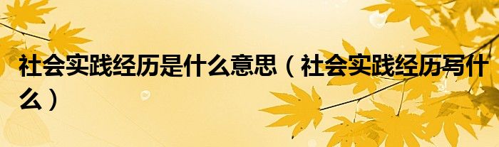 社会实践经历是什么意思（社会实践经历写什么）