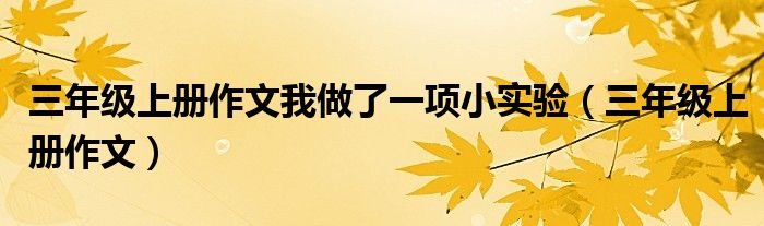 三年级上册作文我做了一项小实验（三年级上册作文）