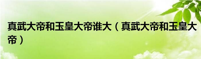 真武大帝和玉皇大帝谁大（真武大帝和玉皇大帝）