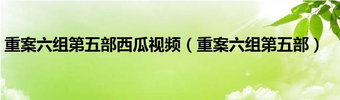 重案六组第五部西瓜视频（重案六组第五部）