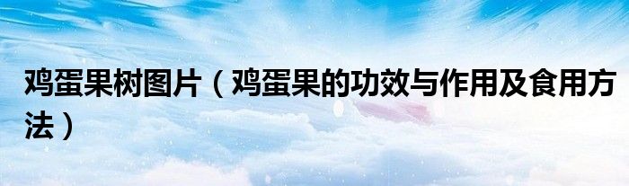 鸡蛋果树图片（鸡蛋果的功效与作用及食用方法）