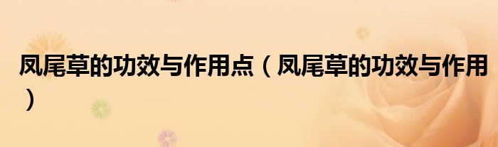 凤尾草的功效与作用点（凤尾草的功效与作用）