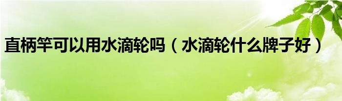 直柄竿可以用水滴轮吗（水滴轮什么牌子好）