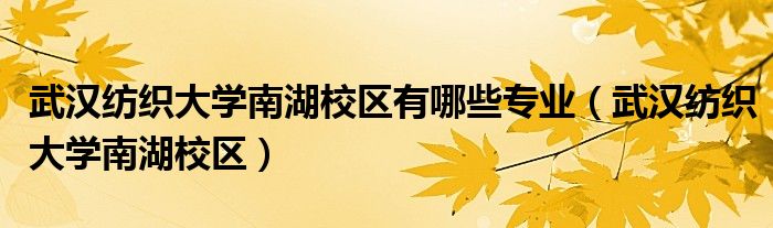 武汉纺织大学南湖校区有哪些专业（武汉纺织大学南湖校区）