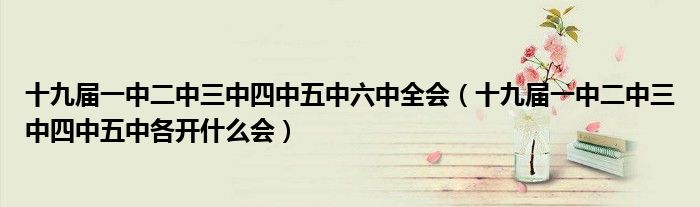 十九届一中二中三中四中五中六中全会（十九届一中二中三中四中五中各开什么会）