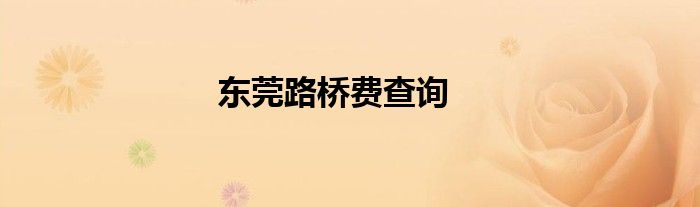 东莞路桥费查询