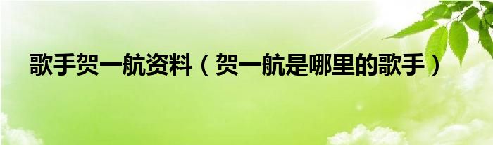 歌手贺一航资料（贺一航是哪里的歌手）