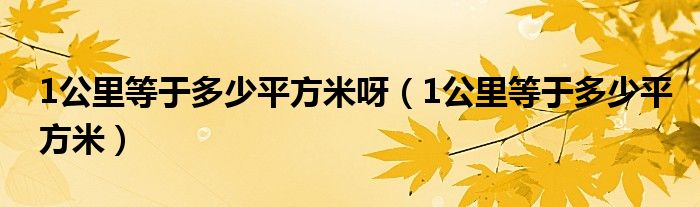 1公里等于多少平方米呀（1公里等于多少平方米）