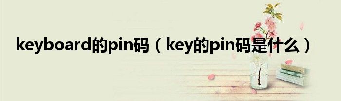 keyboard的pin码（key的pin码是什么）