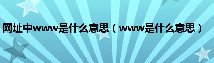 网址中www是什么意思（www是什么意思）