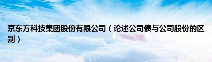 京东方科技集团股份有限公司（论述公司债与公司股份的区别）