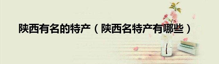 陕西有名的特产（陕西名特产有哪些）