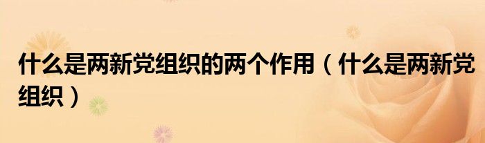 什么是两新党组织的两个作用（什么是两新党组织）