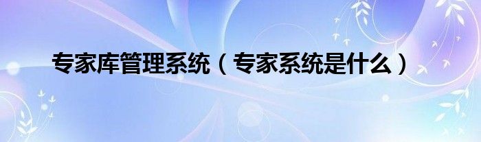 专家库管理系统（专家系统是什么）