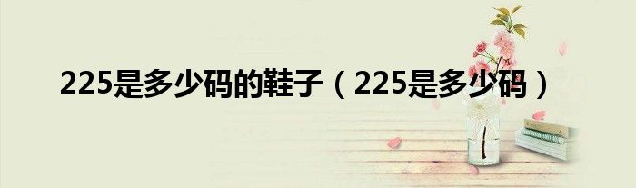 225是多少码的鞋子（225是多少码）