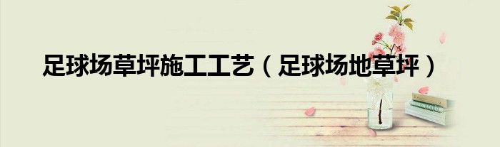 足球场草坪施工工艺（足球场地草坪）