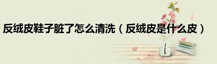 反绒皮鞋子脏了怎么清洗（反绒皮是什么皮）