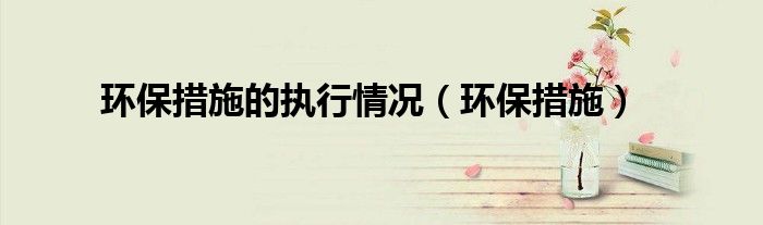 环保措施的执行情况（环保措施）