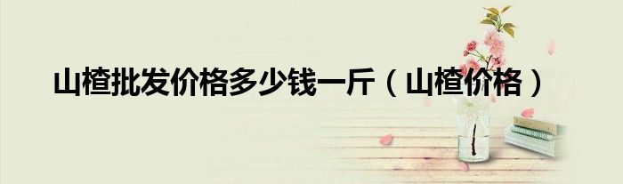 山楂批发价格多少钱一斤（山楂价格）