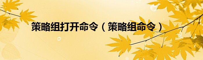 策略组打开命令（策略组命令）
