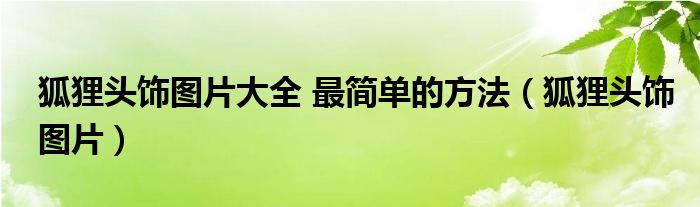 狐狸头饰图片大全 最简单的方法（狐狸头饰图片）