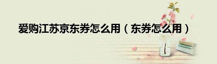 爱购江苏京东券怎么用（东券怎么用）