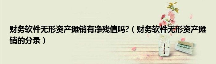 财务软件无形资产摊销有净残值吗?（财务软件无形资产摊销的分录）
